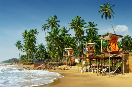 Domestic Tour Packages From Thane
