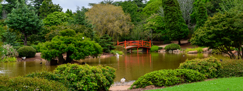 International Cruise Booking Travel Agent Thane Mumbai