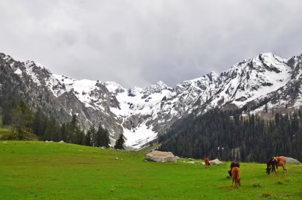 Kedarnath group tours from thane